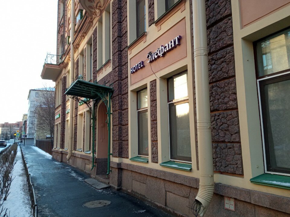 Фото Элефант