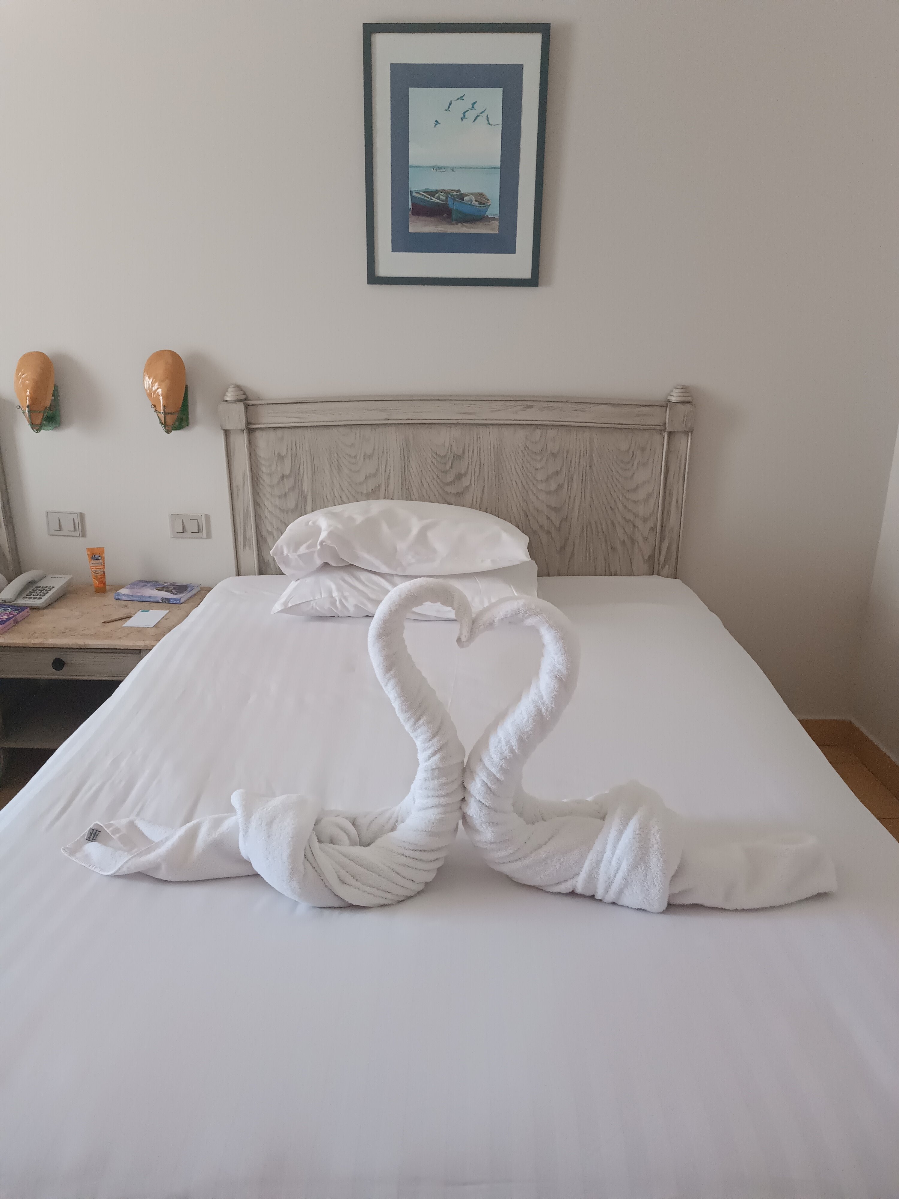 Фото Sunrise Alma Bay Resort