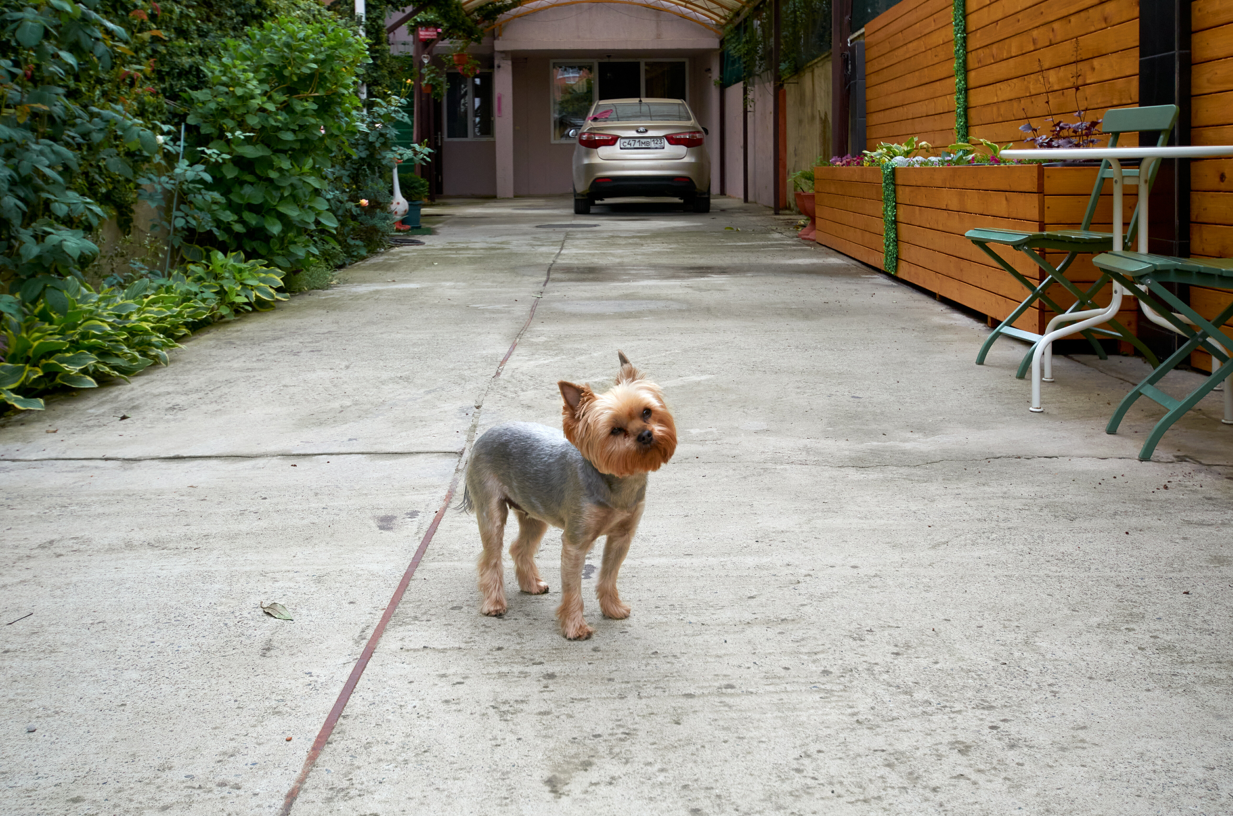 Фото Адлердомик