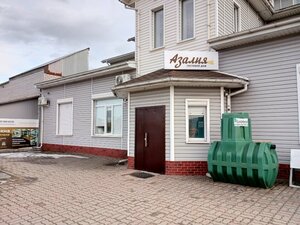 Азалия