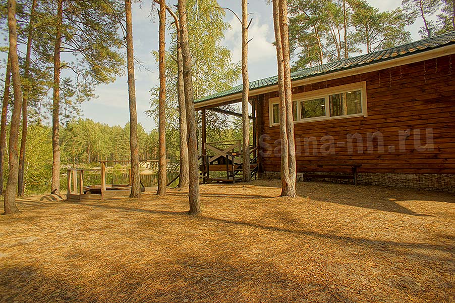 Фото Лесная сказка