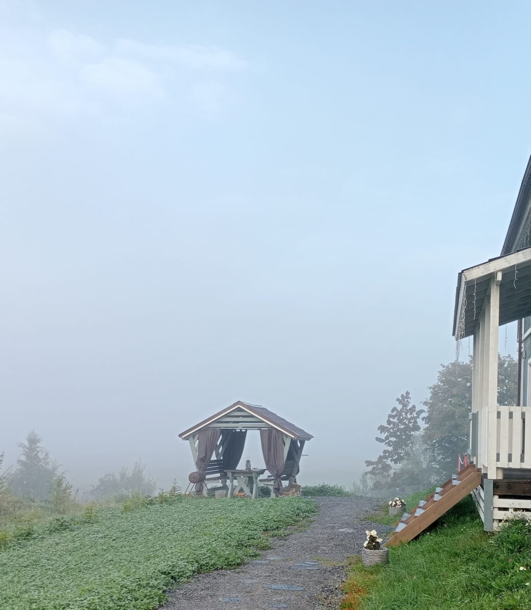 Фото Мункинмяки