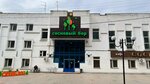 Сосновый бор (Usadebnaya ulitsa, 55), medical rehabilitation centre