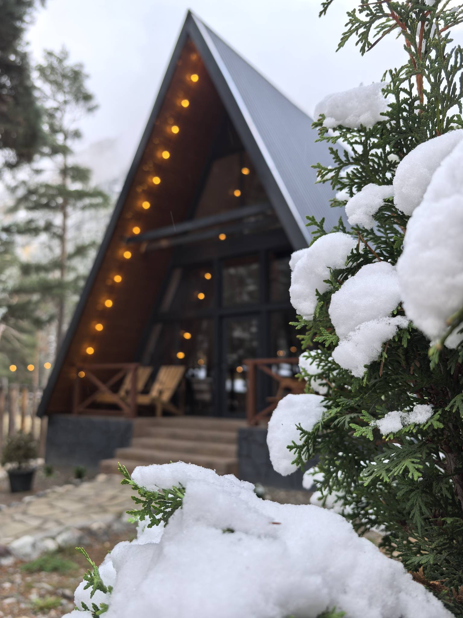 Фото Эльпик