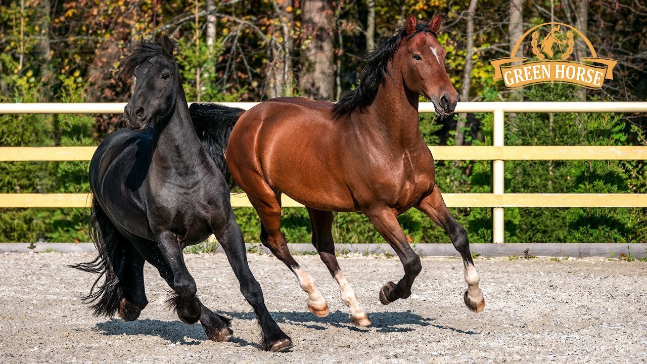 Фото Дом с сауной и баней
