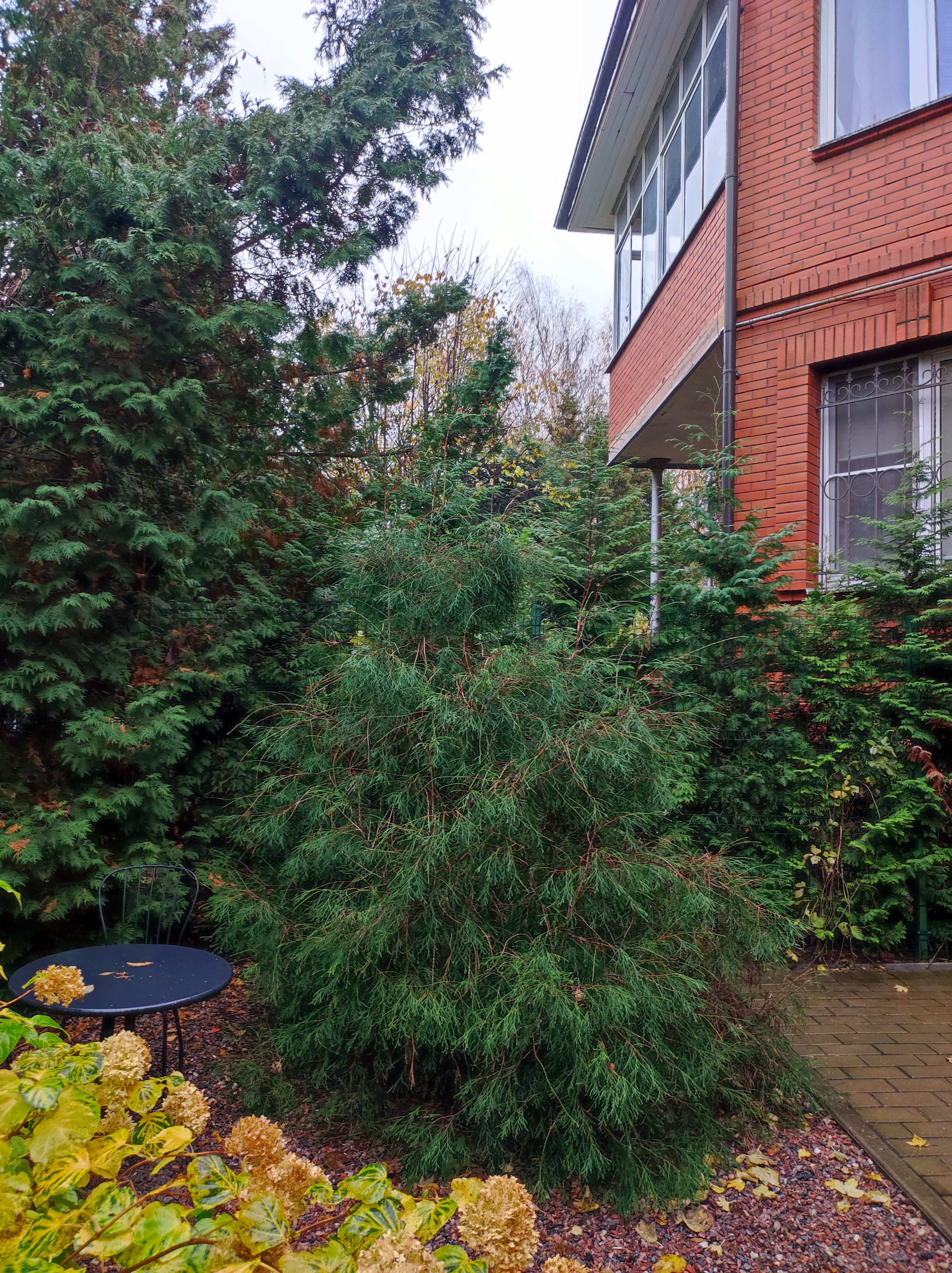 Фото Добрыня