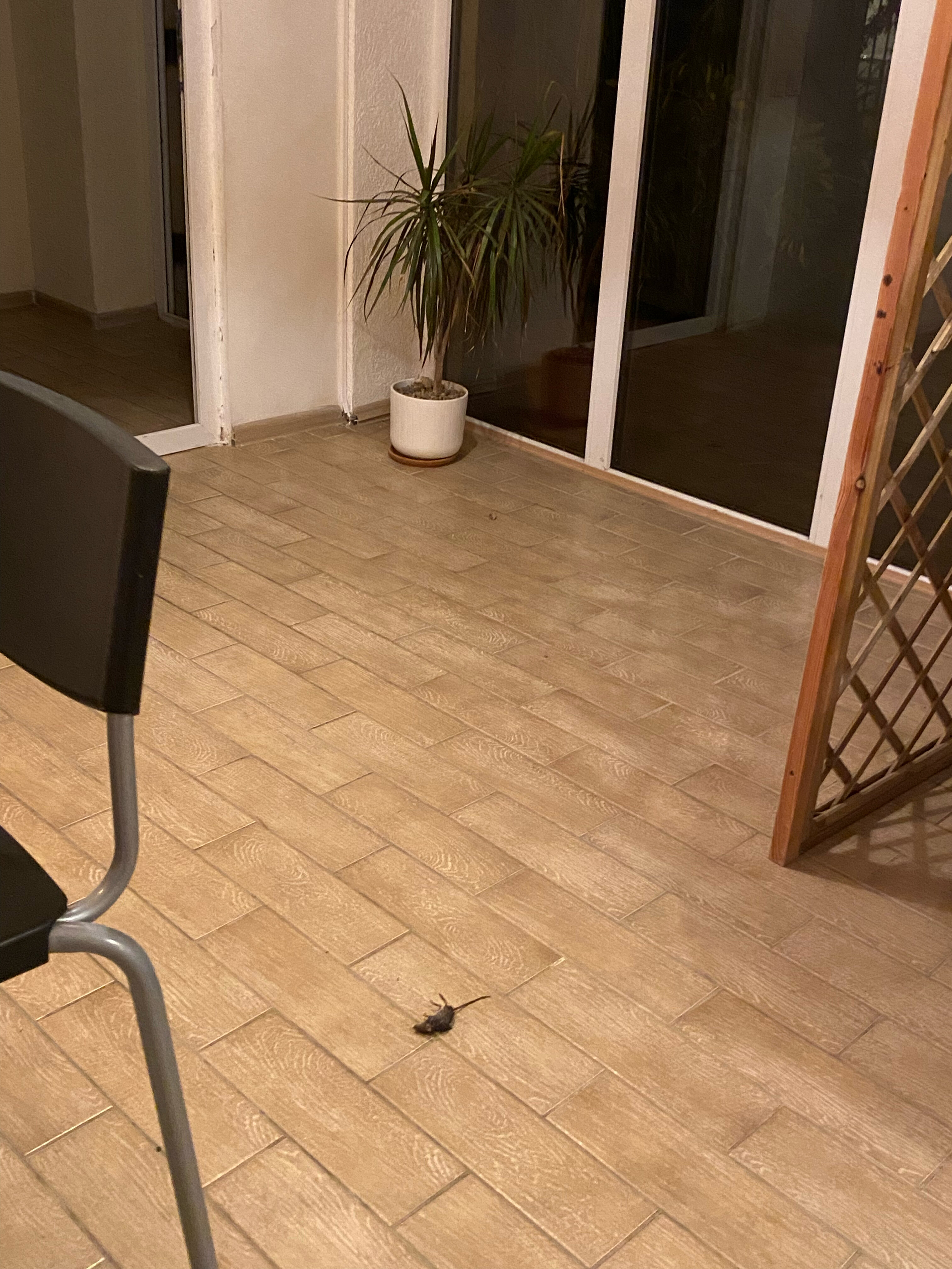 Фото Южный дом