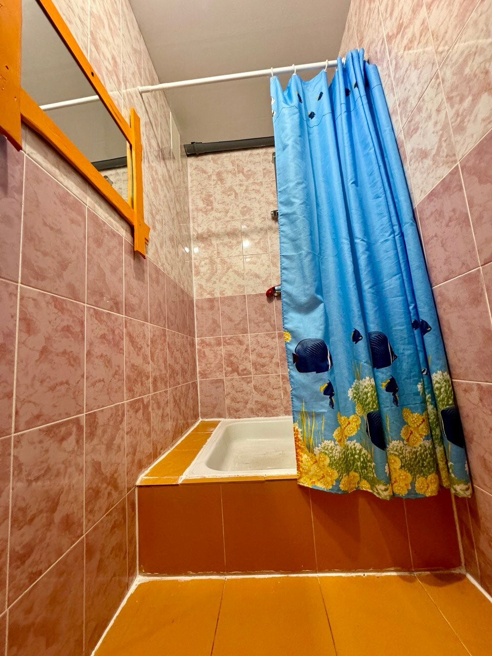 Фото Новые соседи