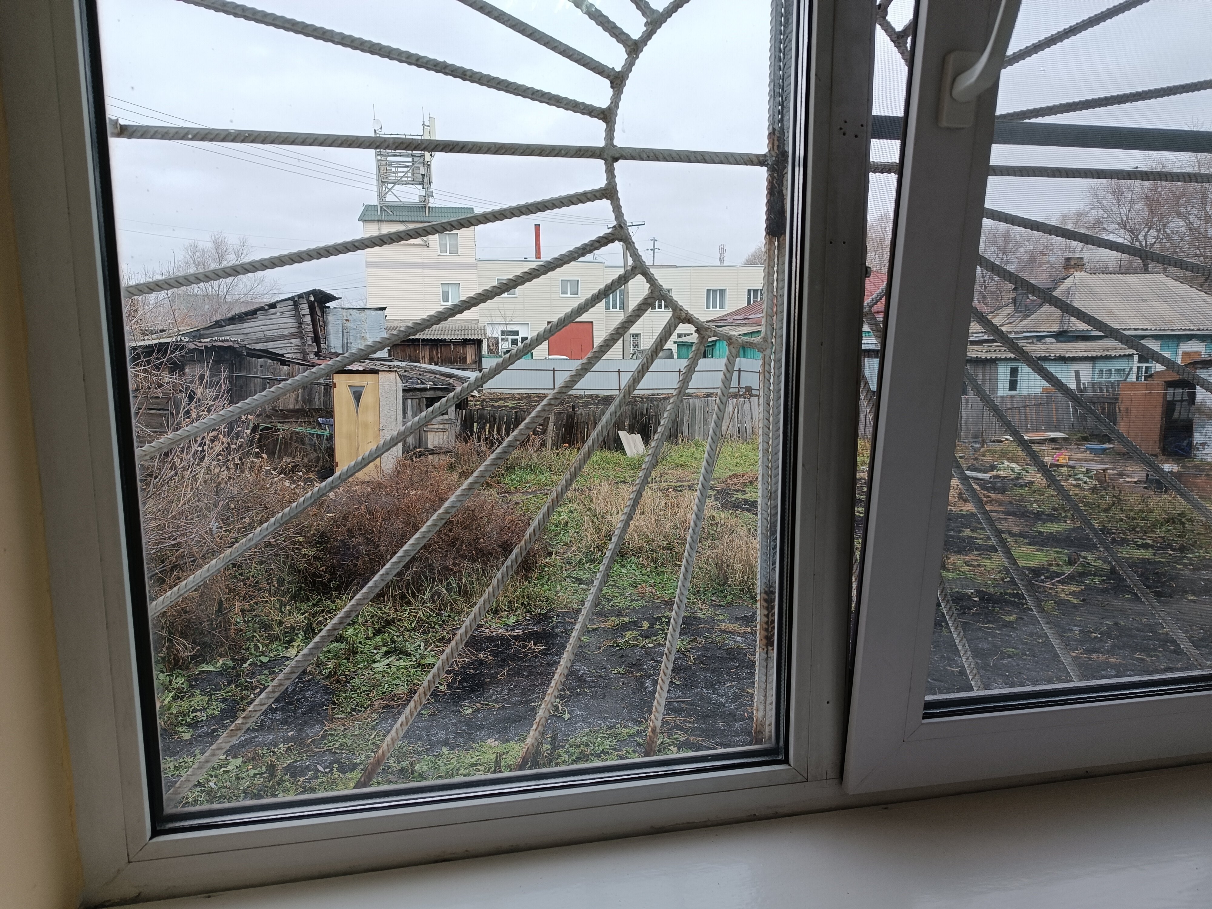 Фото Берëзка