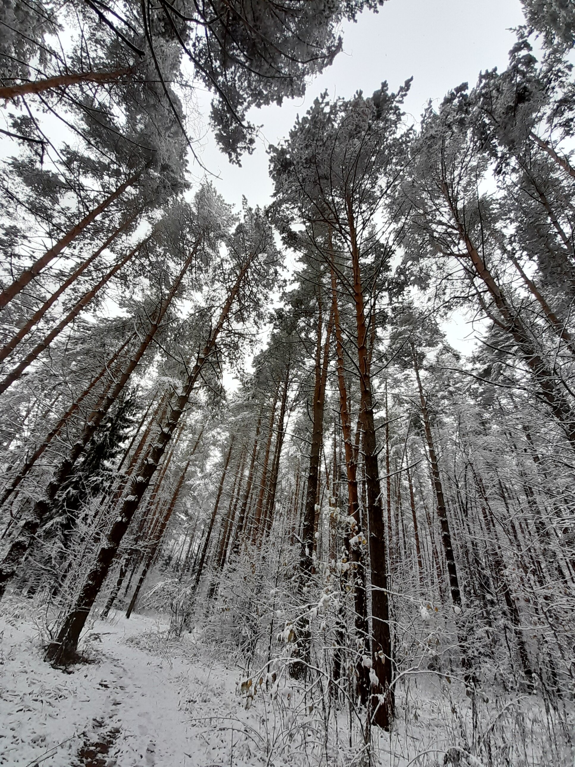 Фото Zaytsevo Country Club