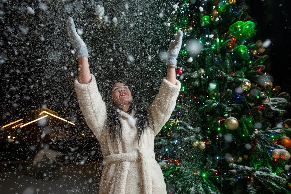 Фото Золотые Караси