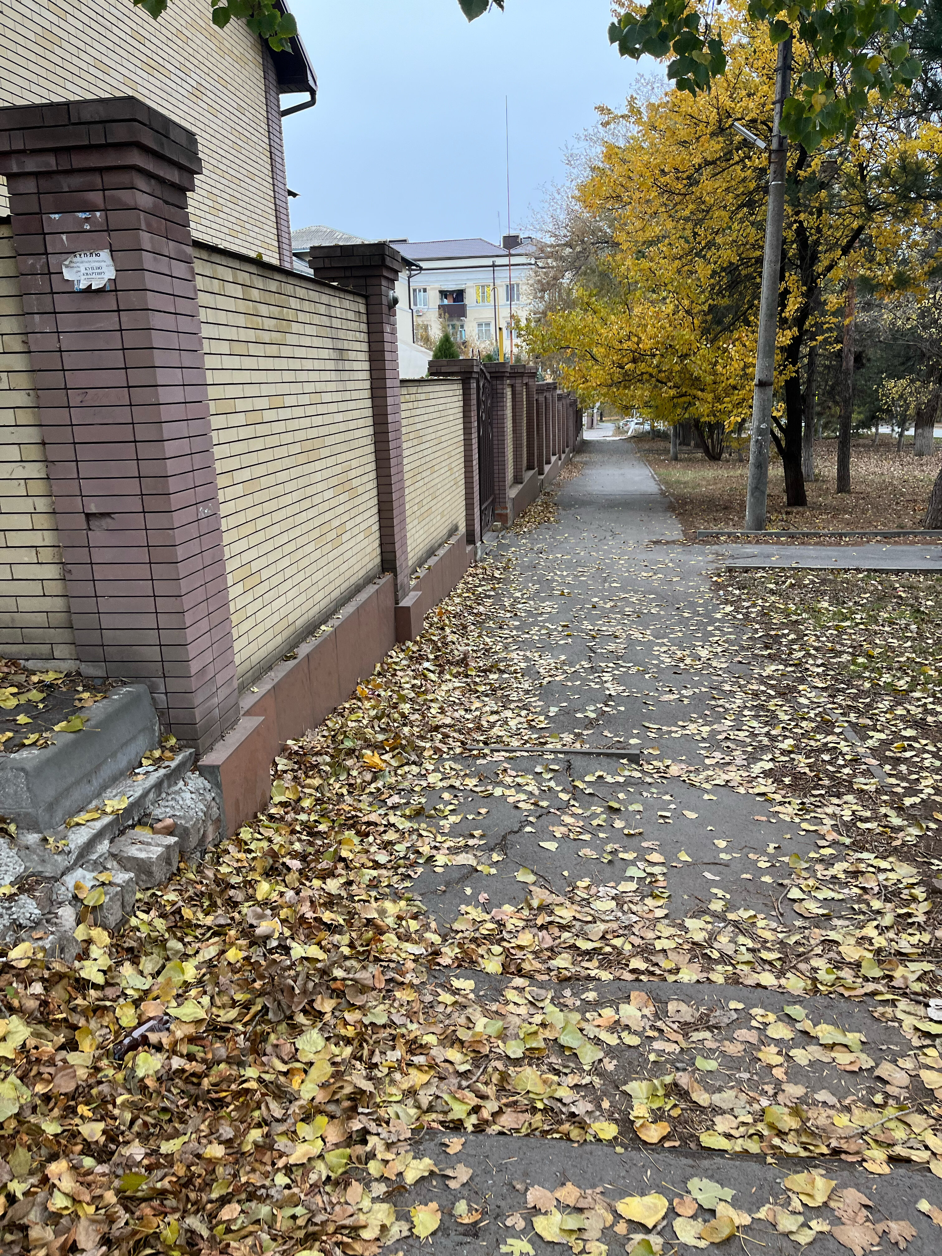 Фото Династия