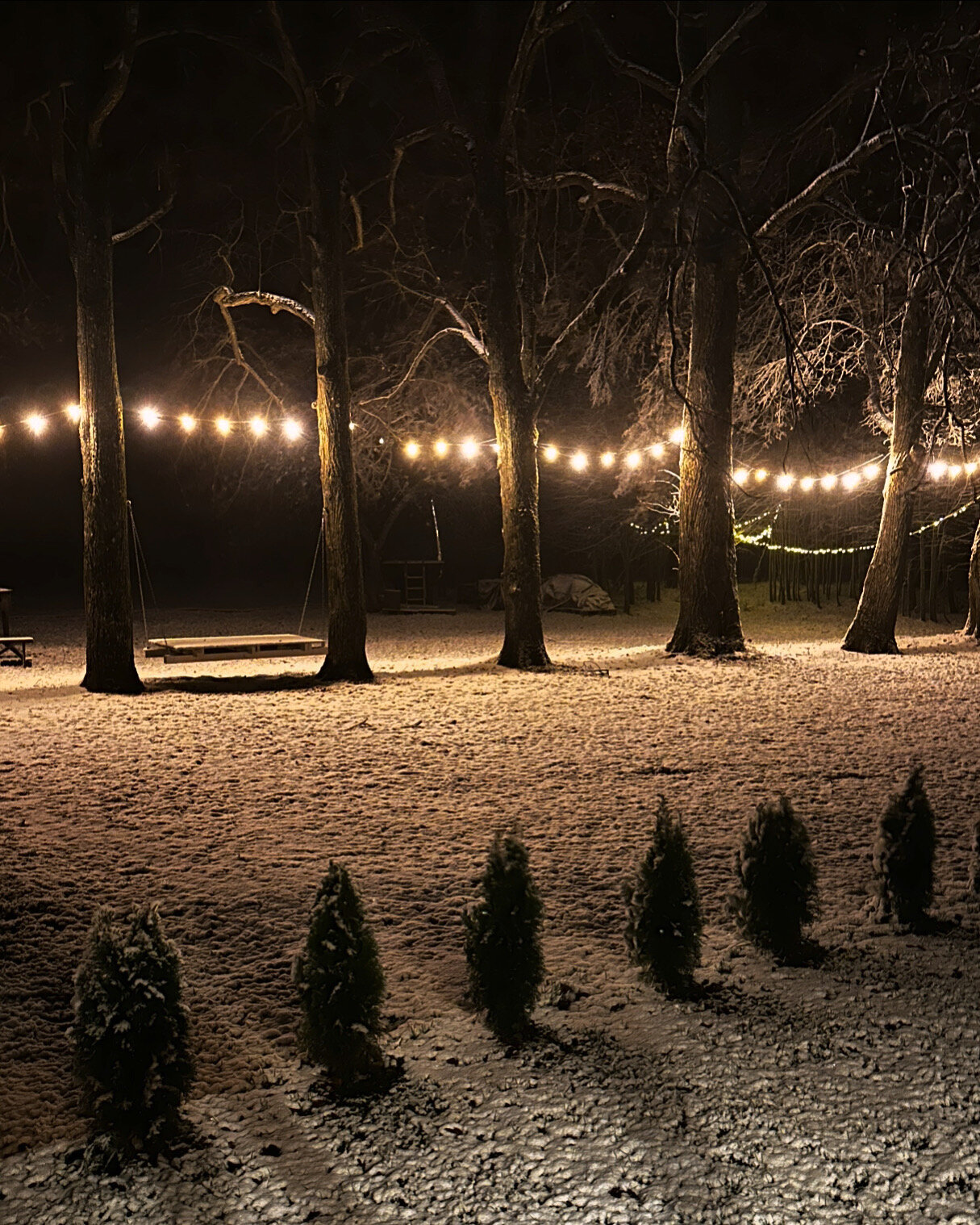 Фото Романовъ home