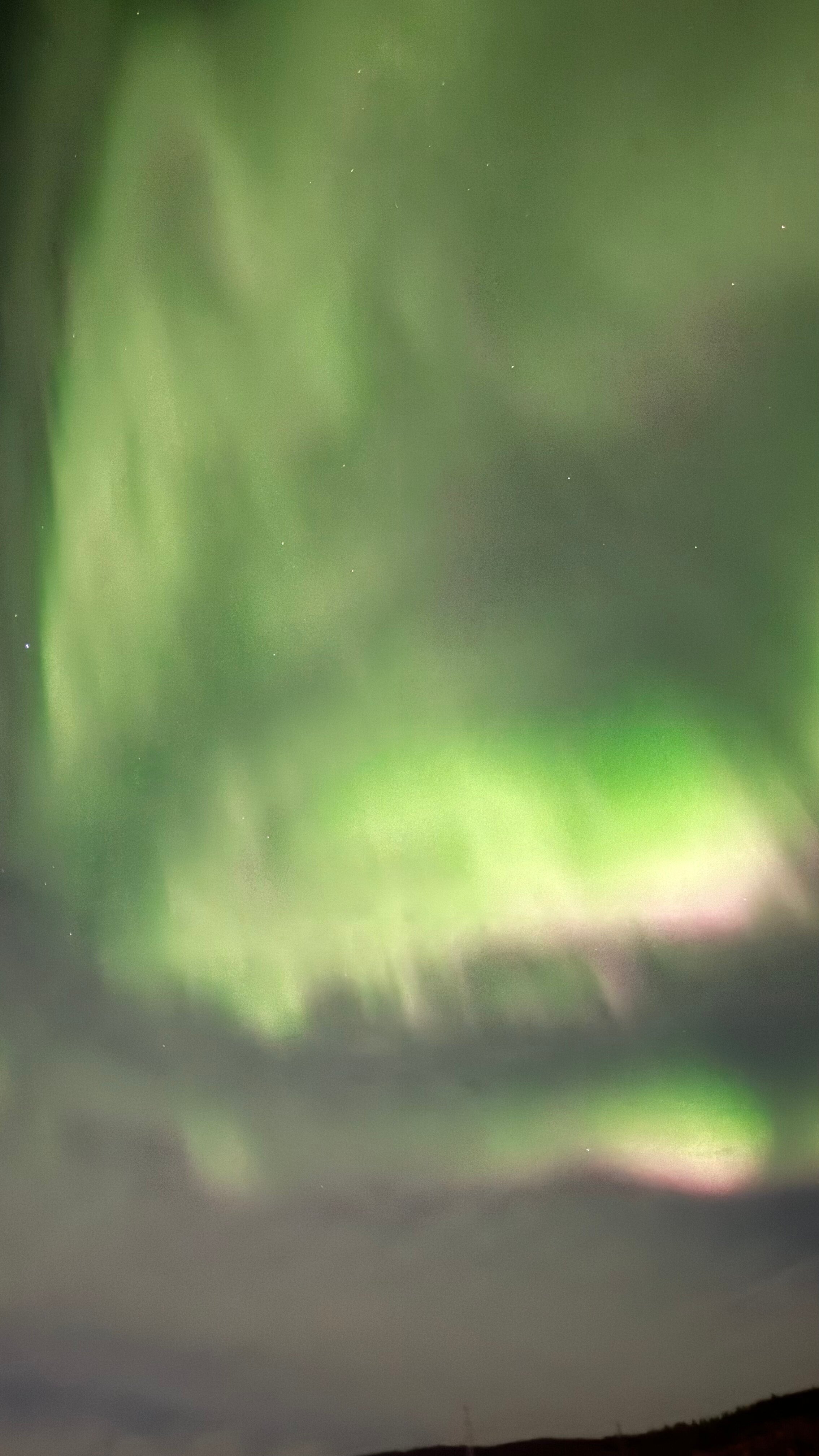 Фото Спарта