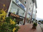 Moss Accessory (İstanbul, Güngören, Mehmet Nesih Özmen Mah., Fatih Cad., 30D), wholesale company