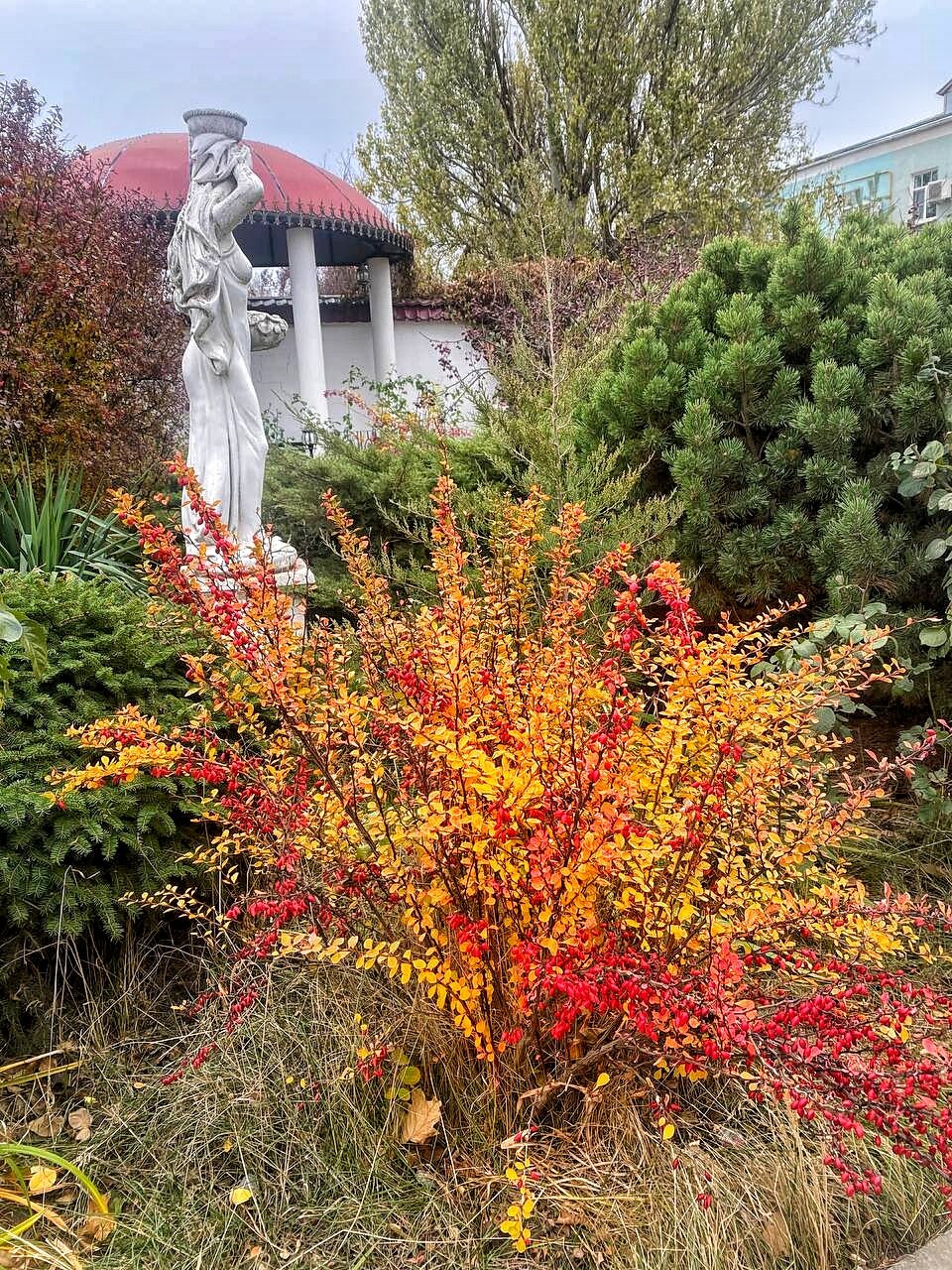 Фото Варваци