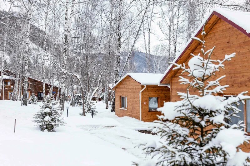 Фото Манская петля