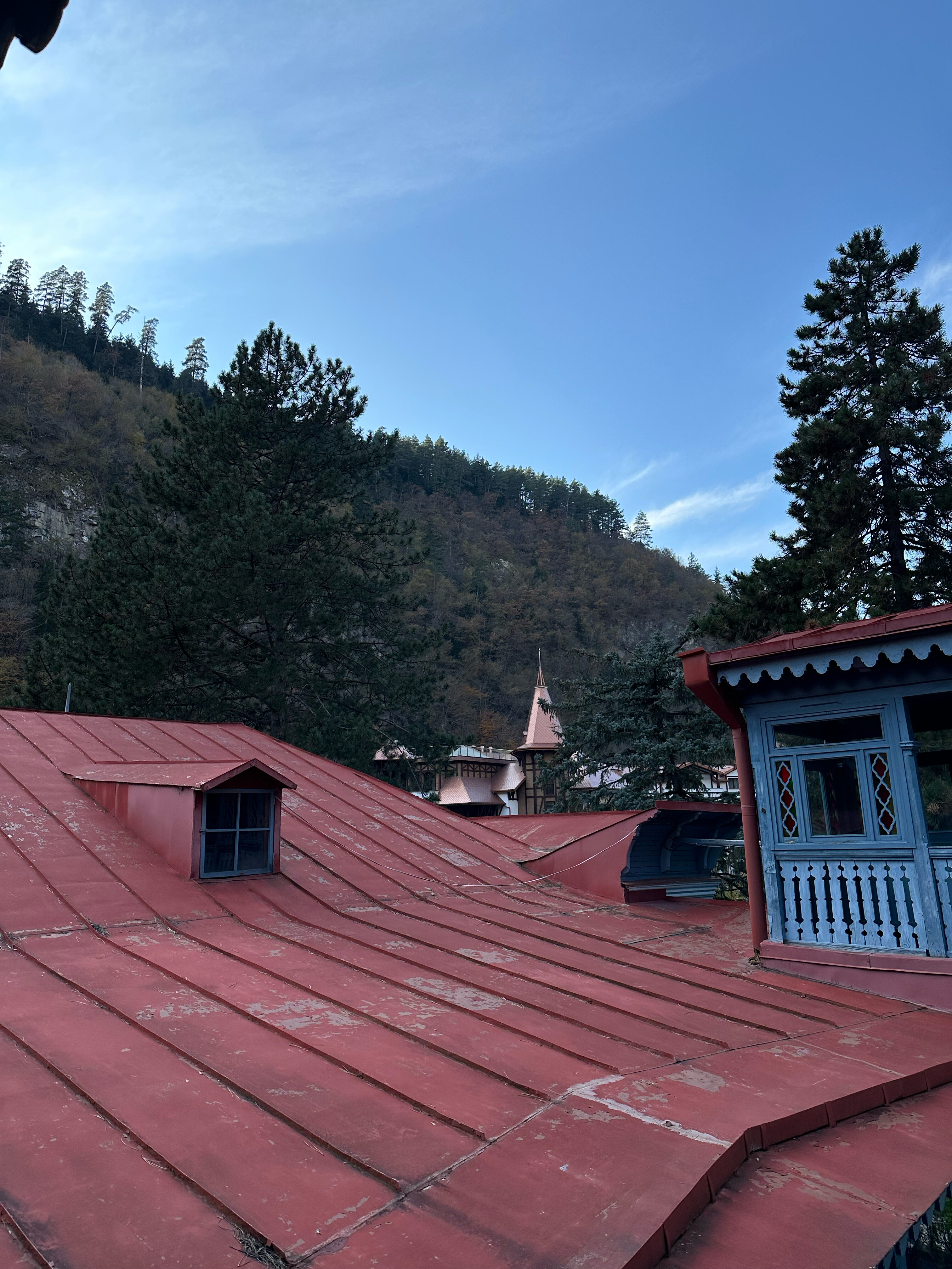 Фото Golden Tulip Borjomi Hotel