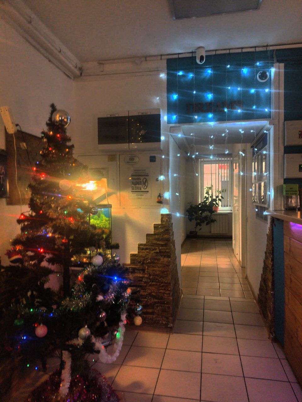 Фото Атмосфера