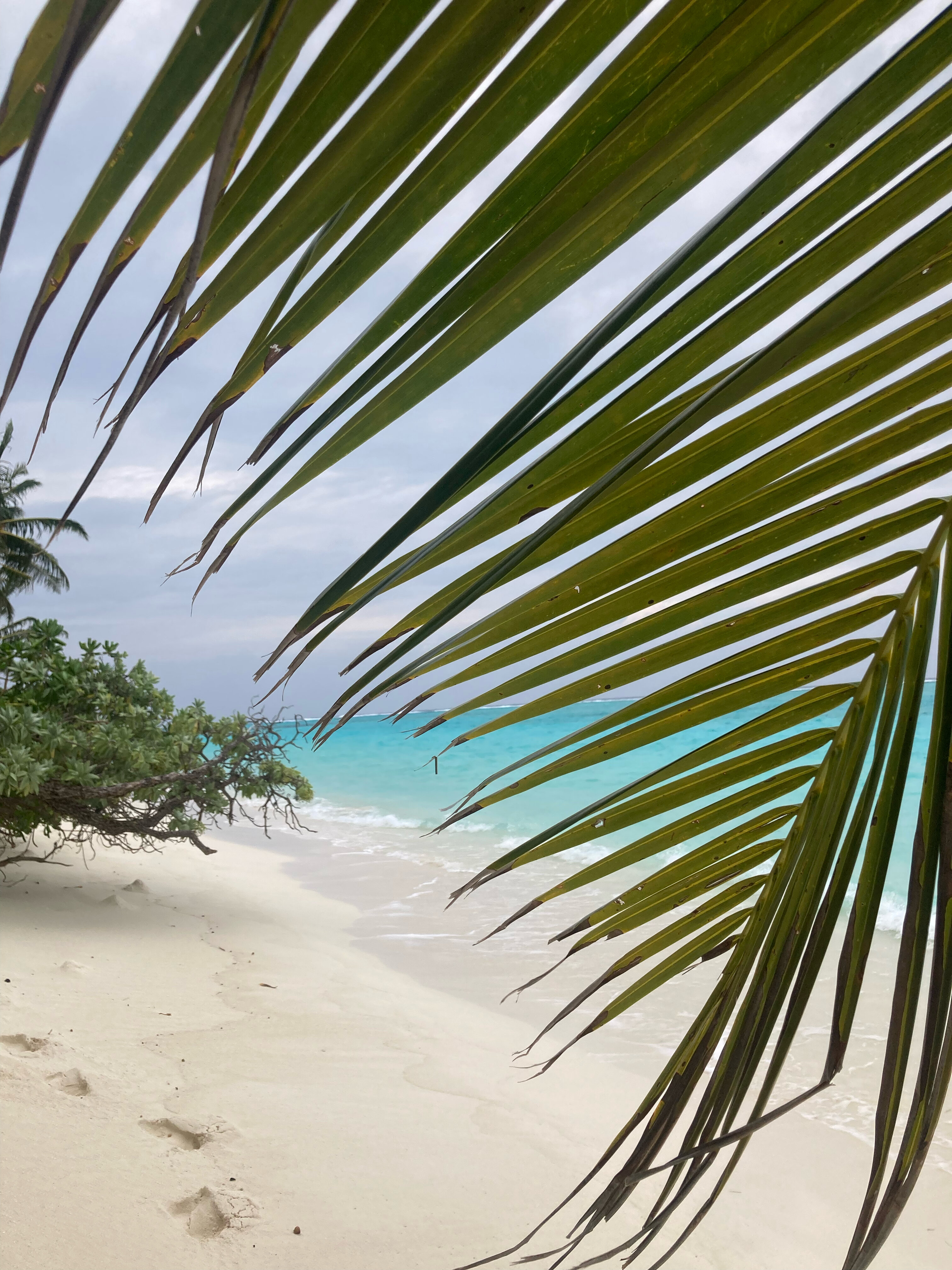 Фото Ramzu Villa Thoddoo