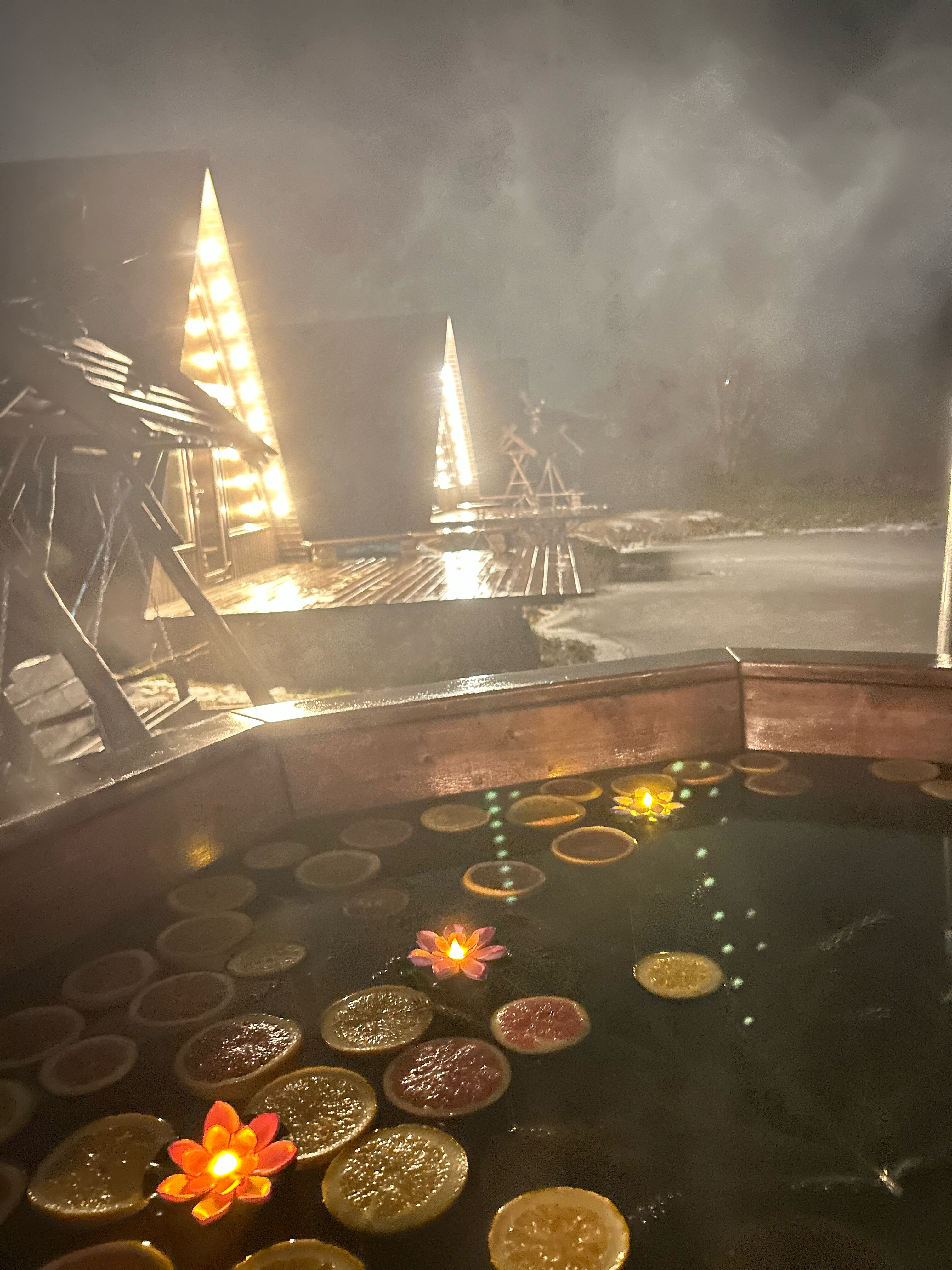 Фото Дом у пруда