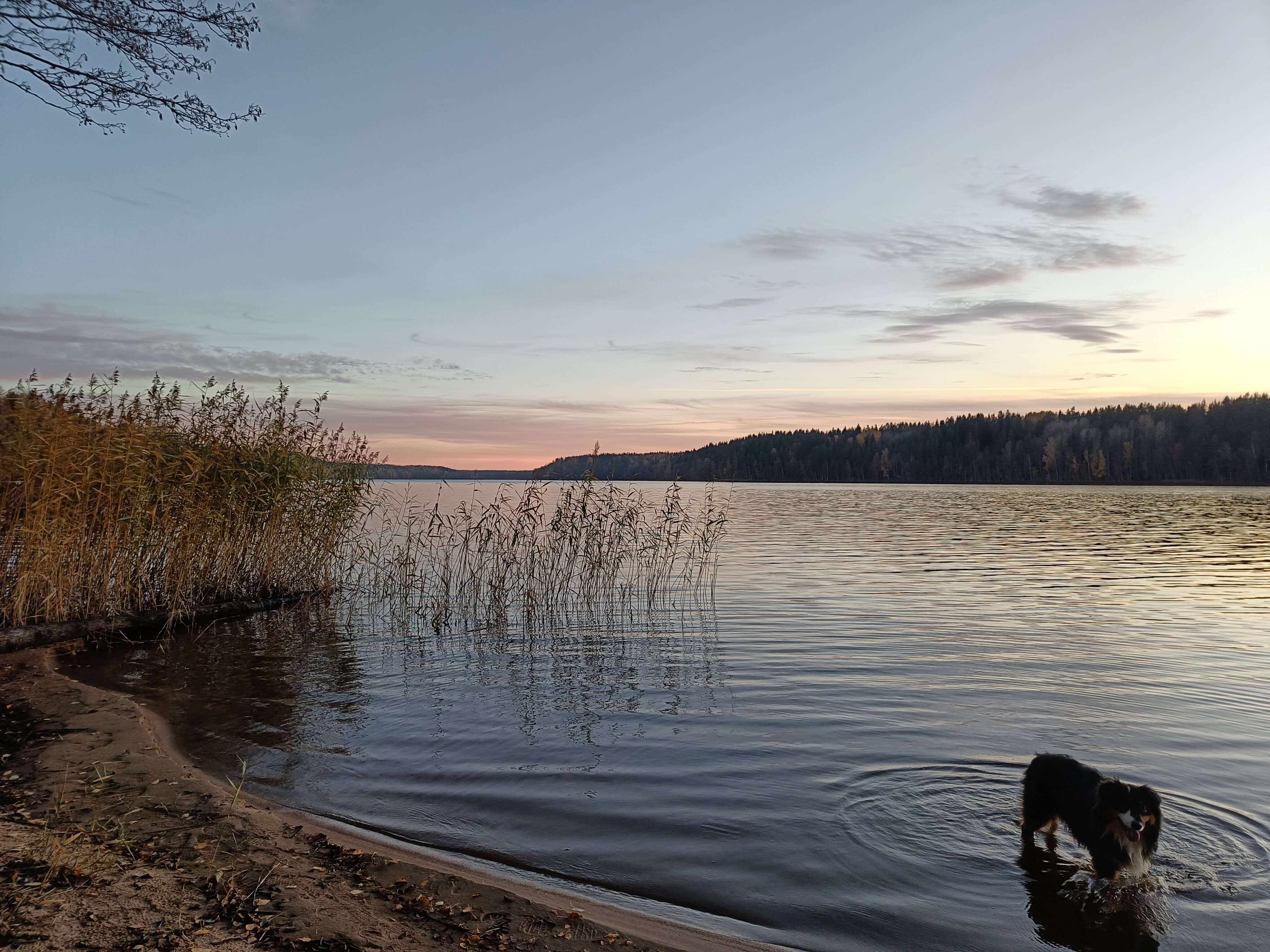 Фото Твой другой воздух - коттедж Юпитер