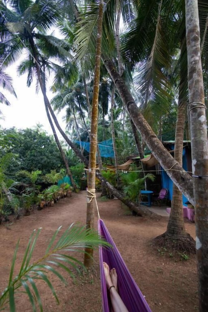 Фото Saturn Beach Cottage