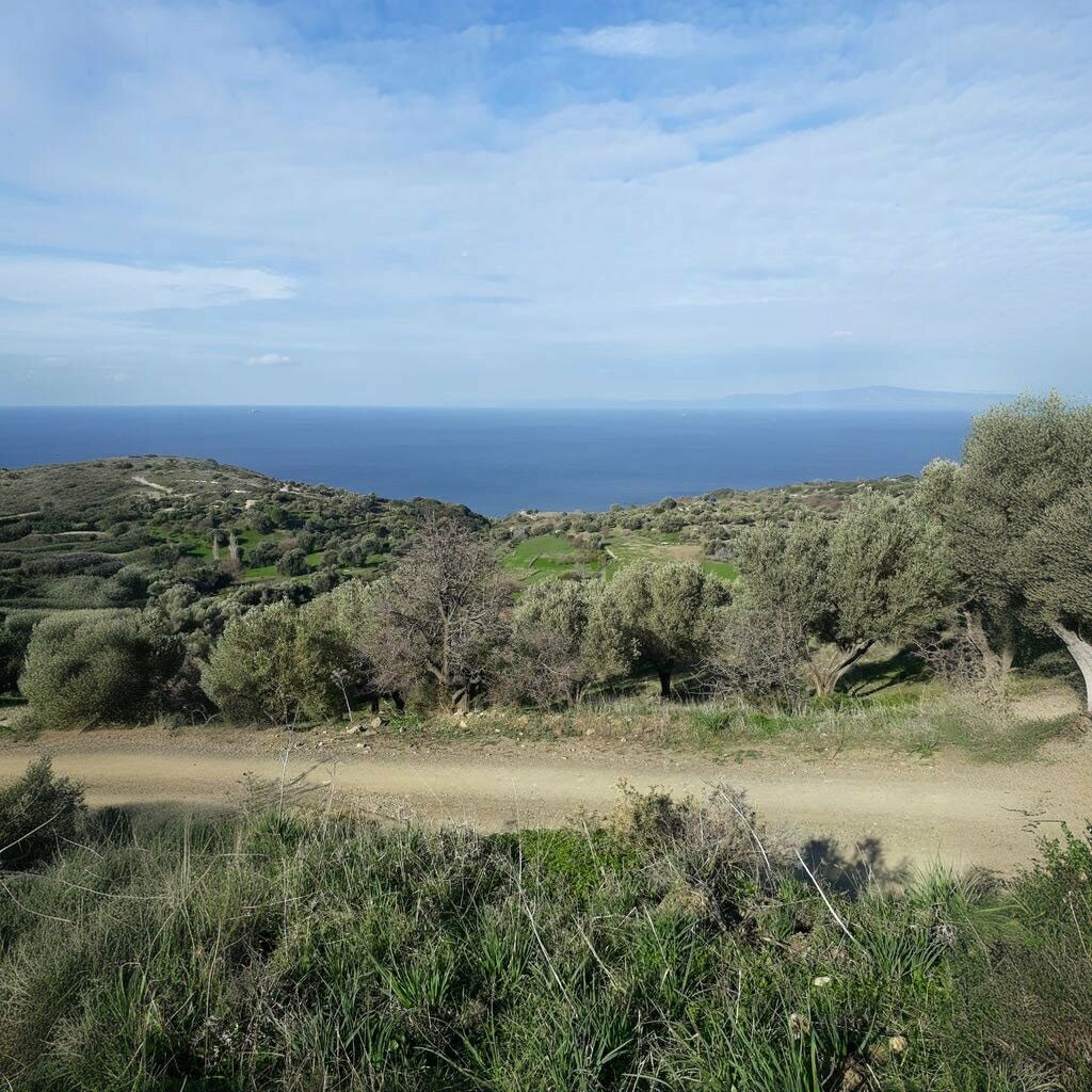 Mosque Hasseki Neighborhood Mosque, Karaburun, photo