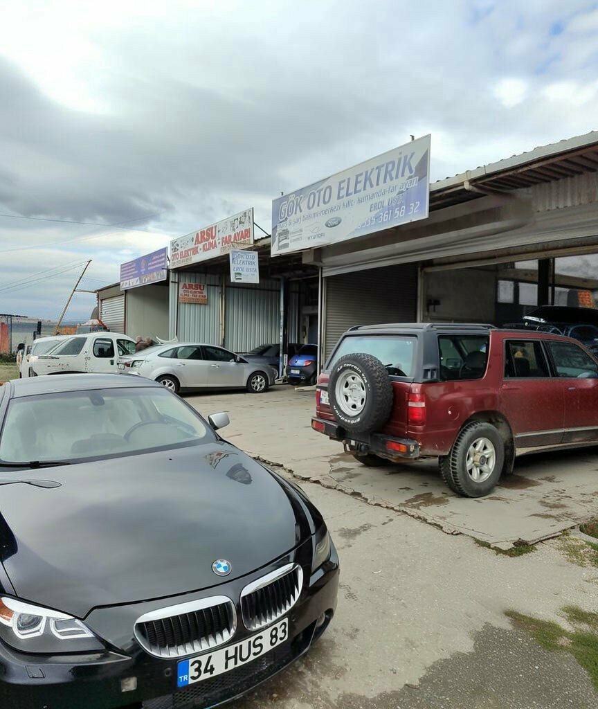 Auto electrics repair Gok Auto Electric, Izmit, photo