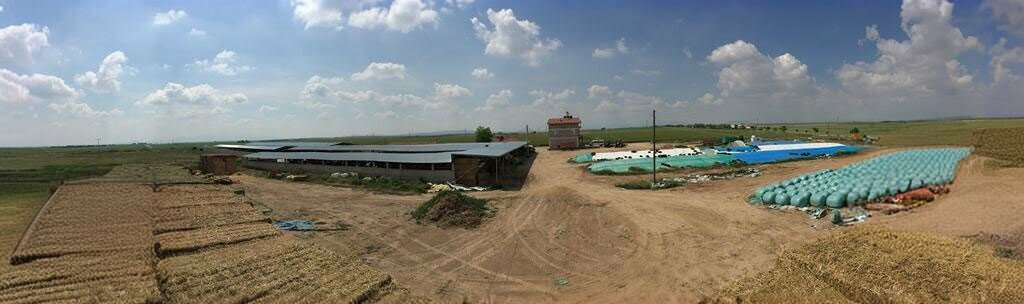 Agricultural enterprise Cekta Agriculture and Livestock, Cumra, photo