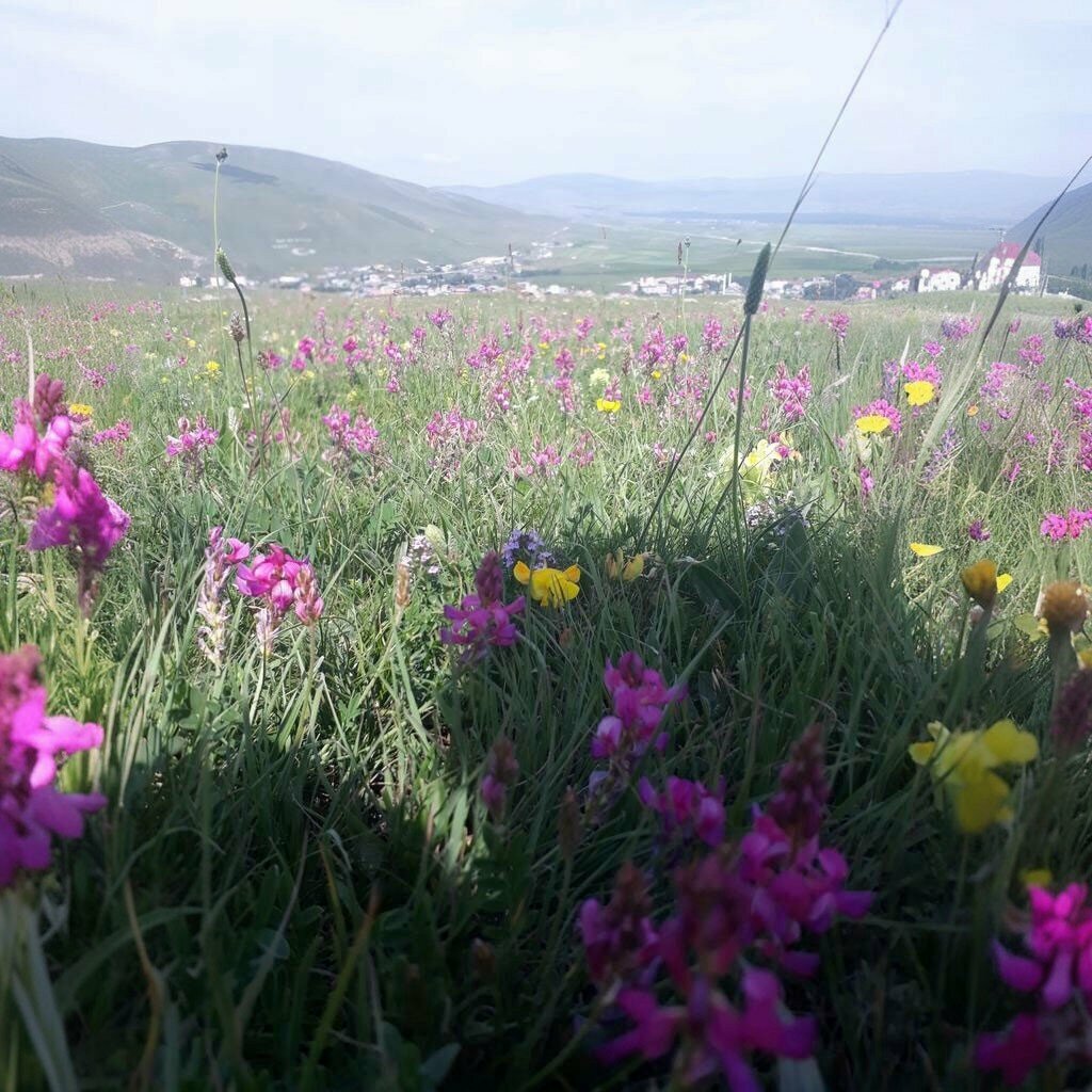 Hotel Yilmazoglu Otel, Cildir, photo