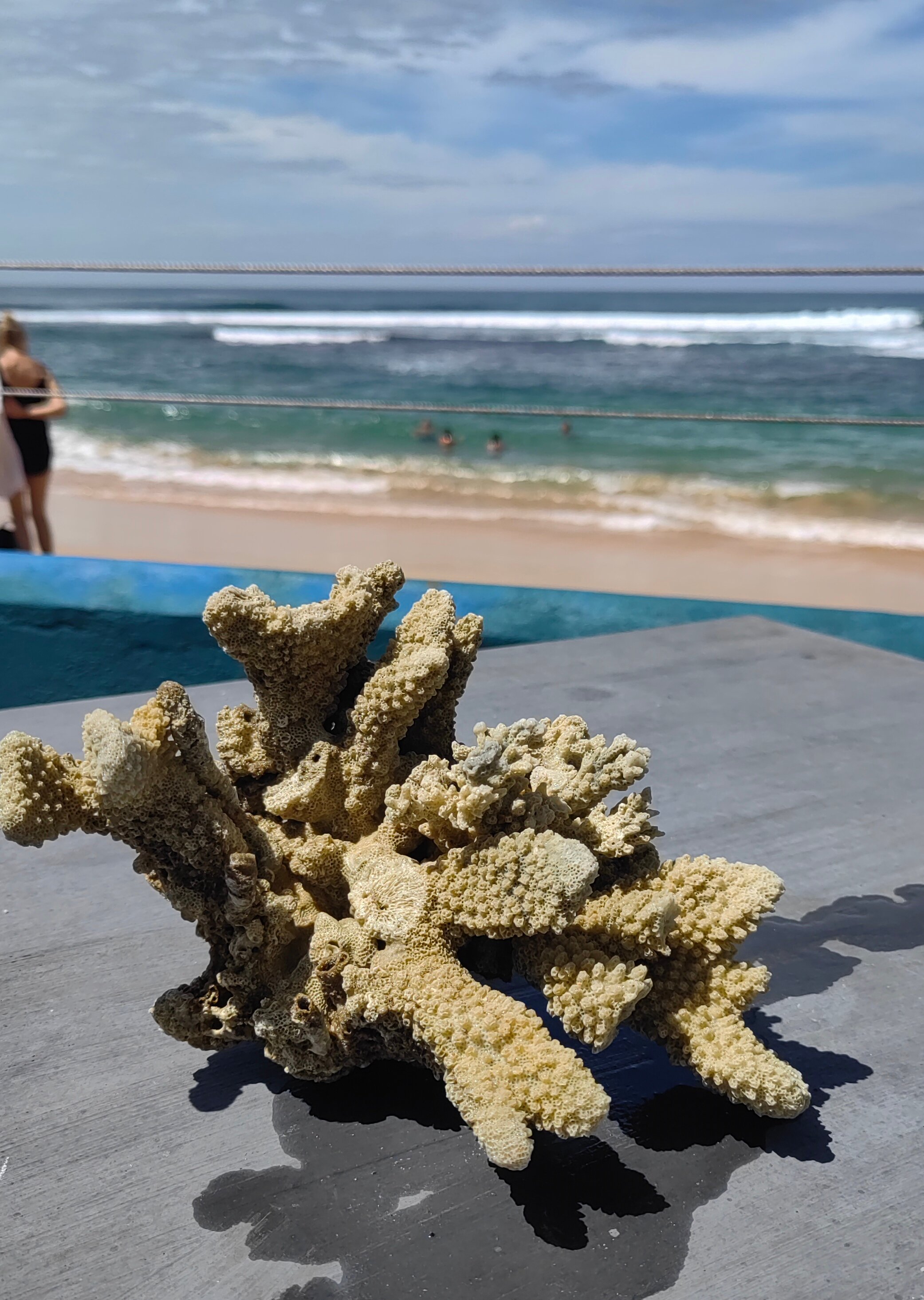 Фото Hikkaduwa Beach Hotel