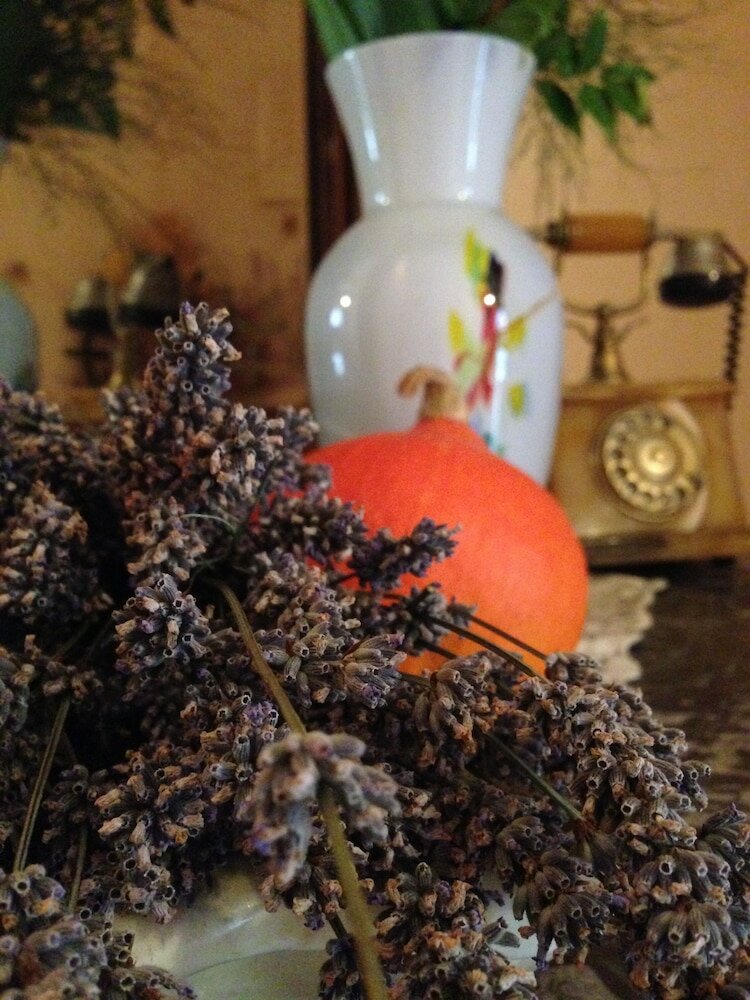 Фото Hotel Villa Nora