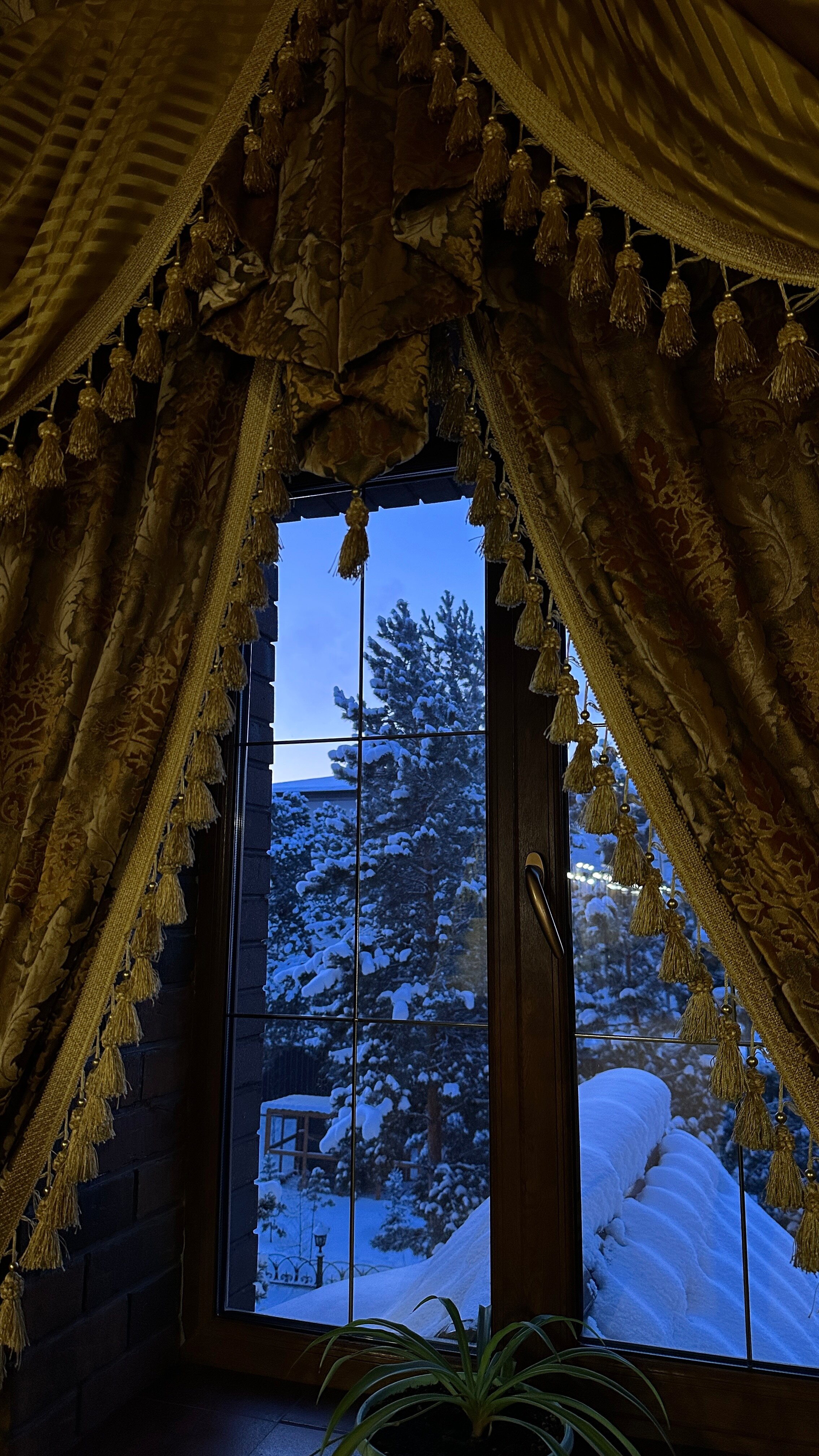 Фото Ренабо