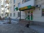 Гамма (V.I. Lenina Avenue, 62) ، صيدلية