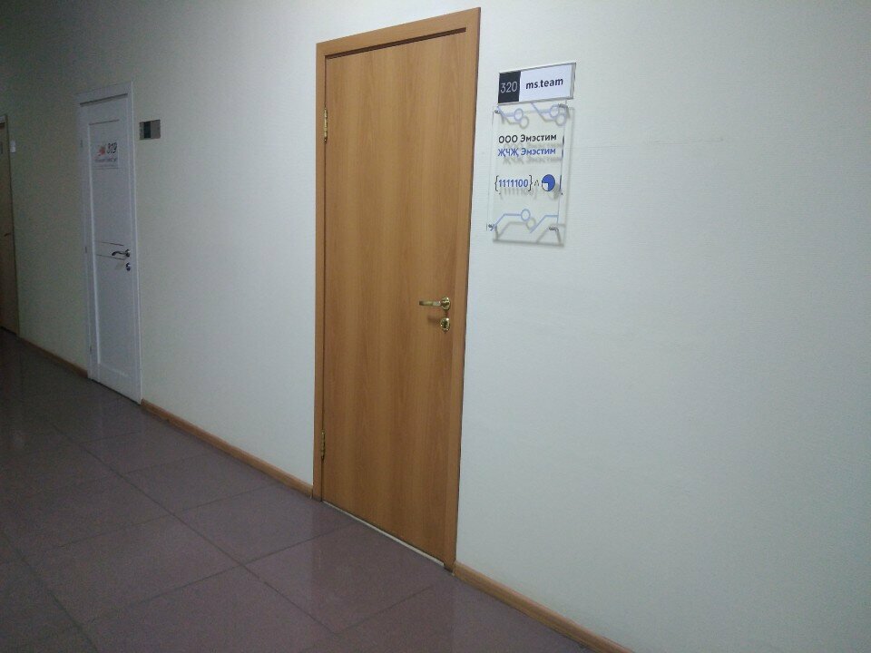 IT company Ms. team, Kazan, photo