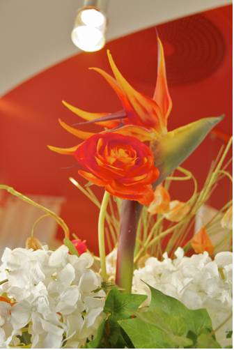 Фото Best Western Hotel San Benedetto