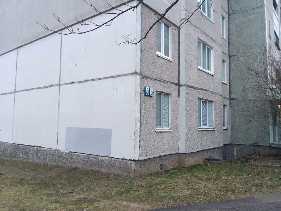 Искусственные растения и цветы Дизайн Коммерц, Минск, фото