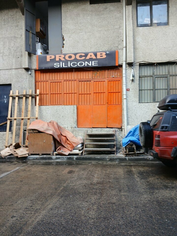 Industrial enterprise Procab Silicone, Istanbul, photo