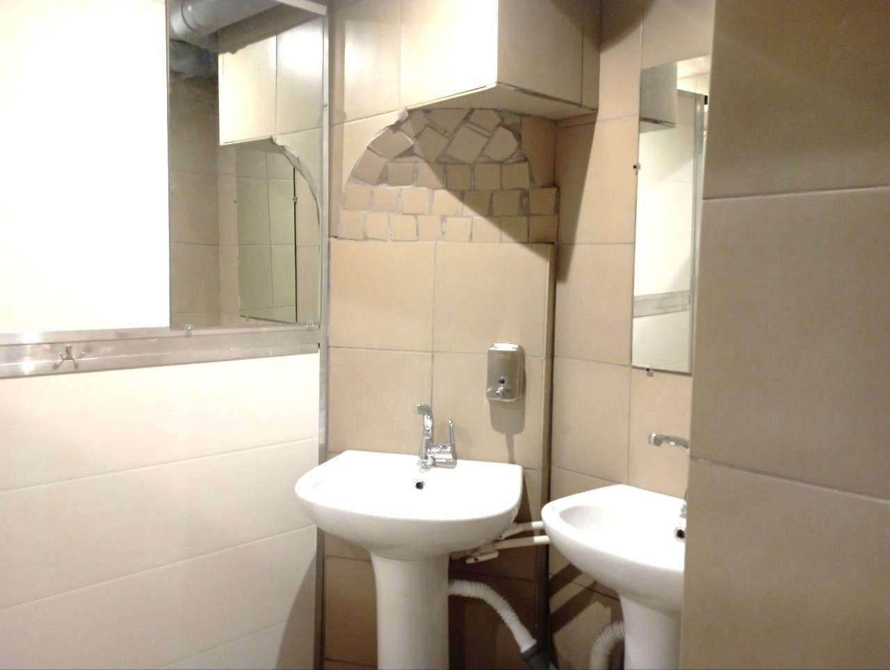 Фото Лектус