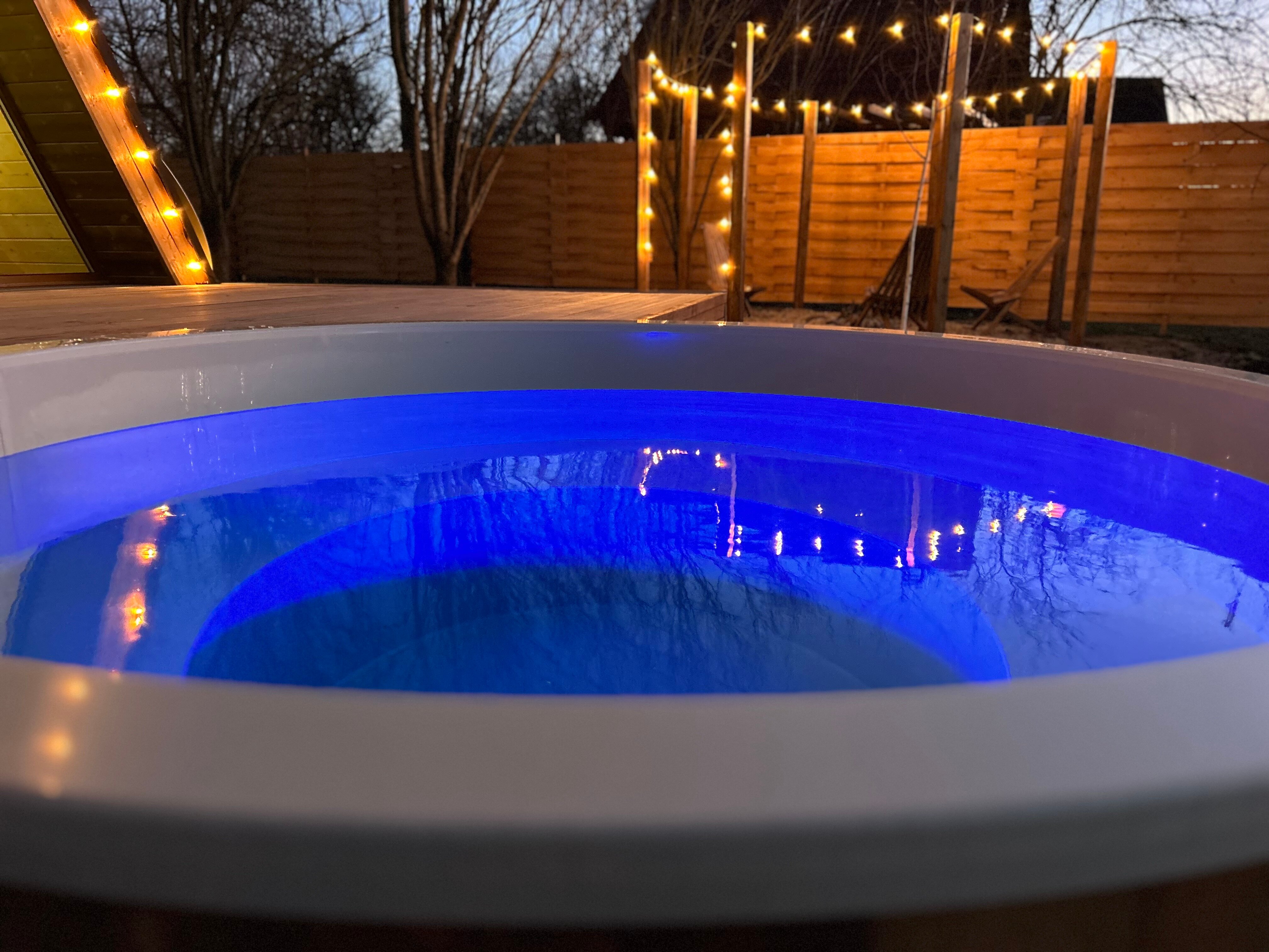 Фото Гнездо