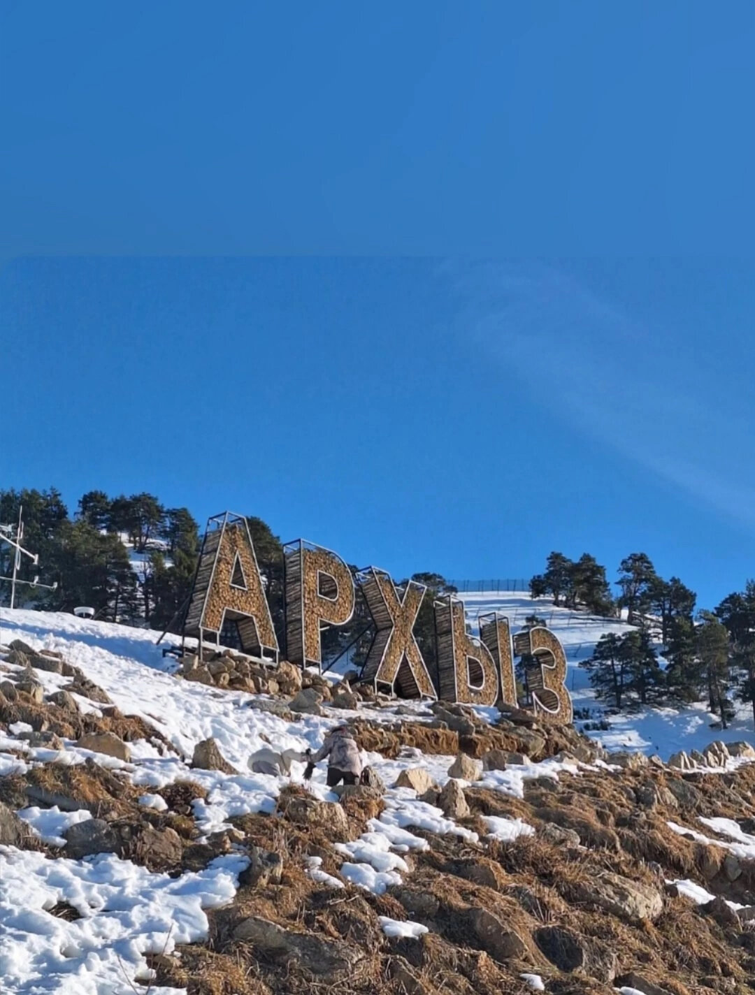 Фото Пихтовый парк