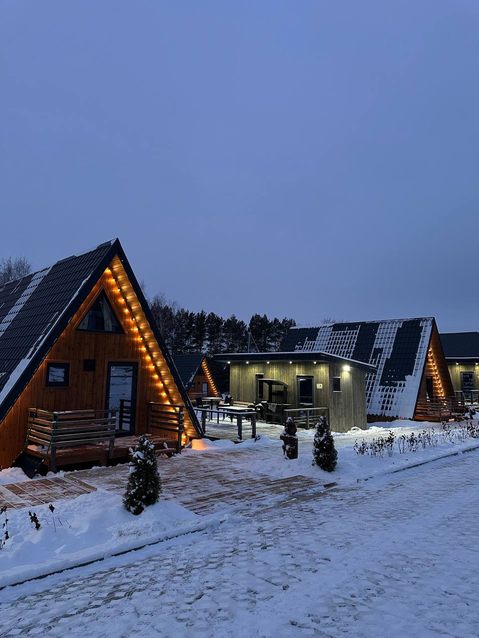 Фото Караси