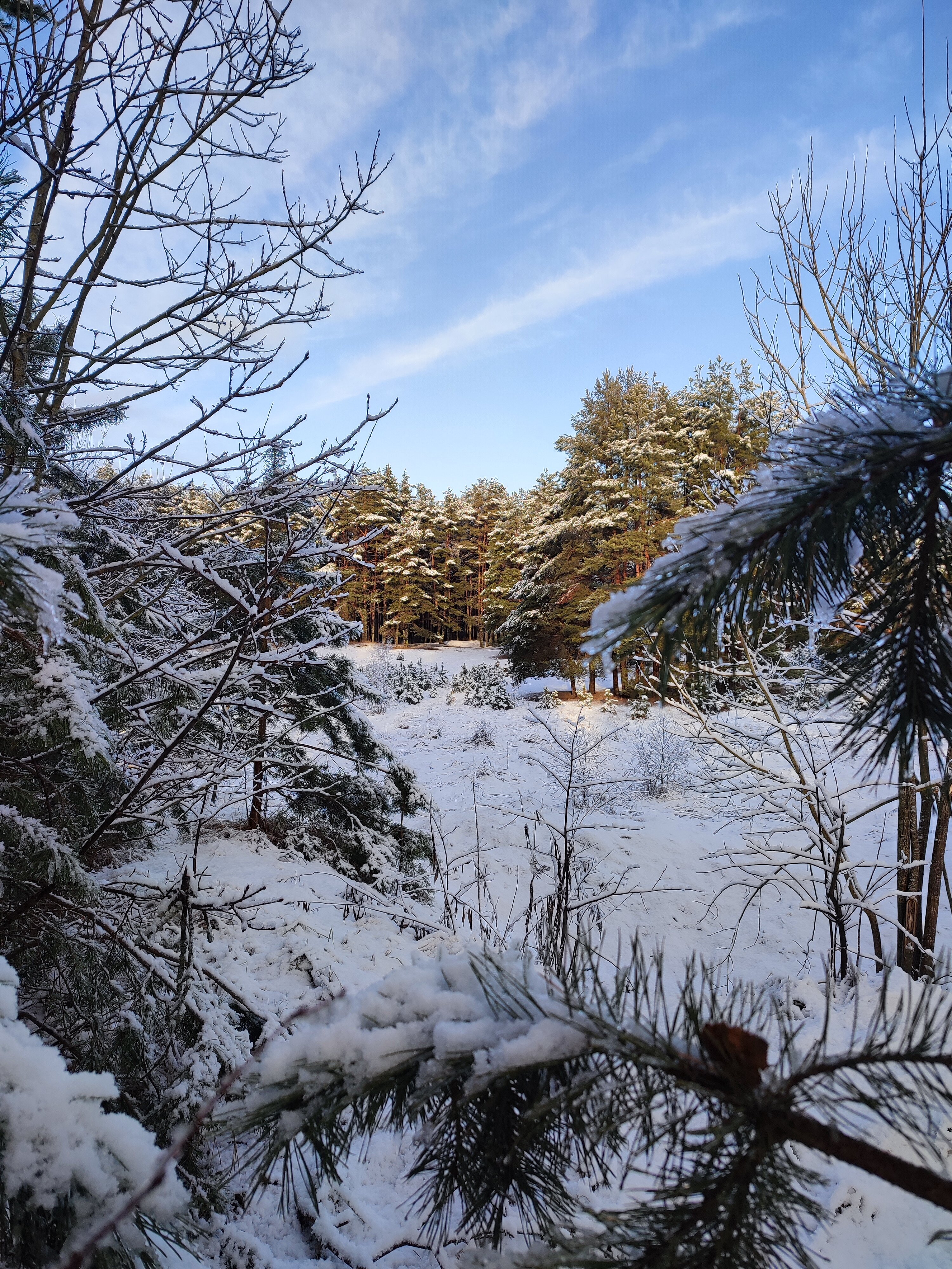 Фото Череха