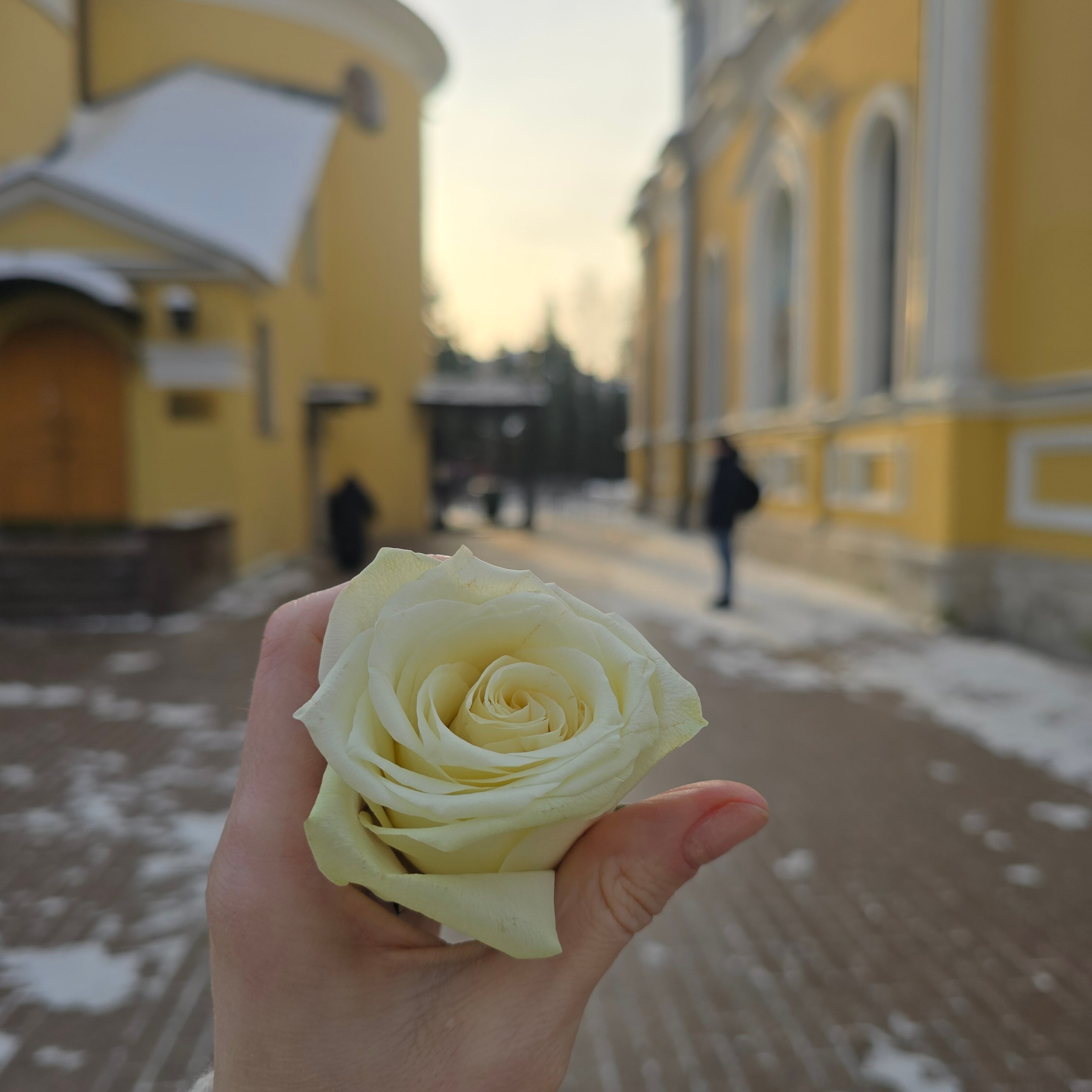 Фото Покровская