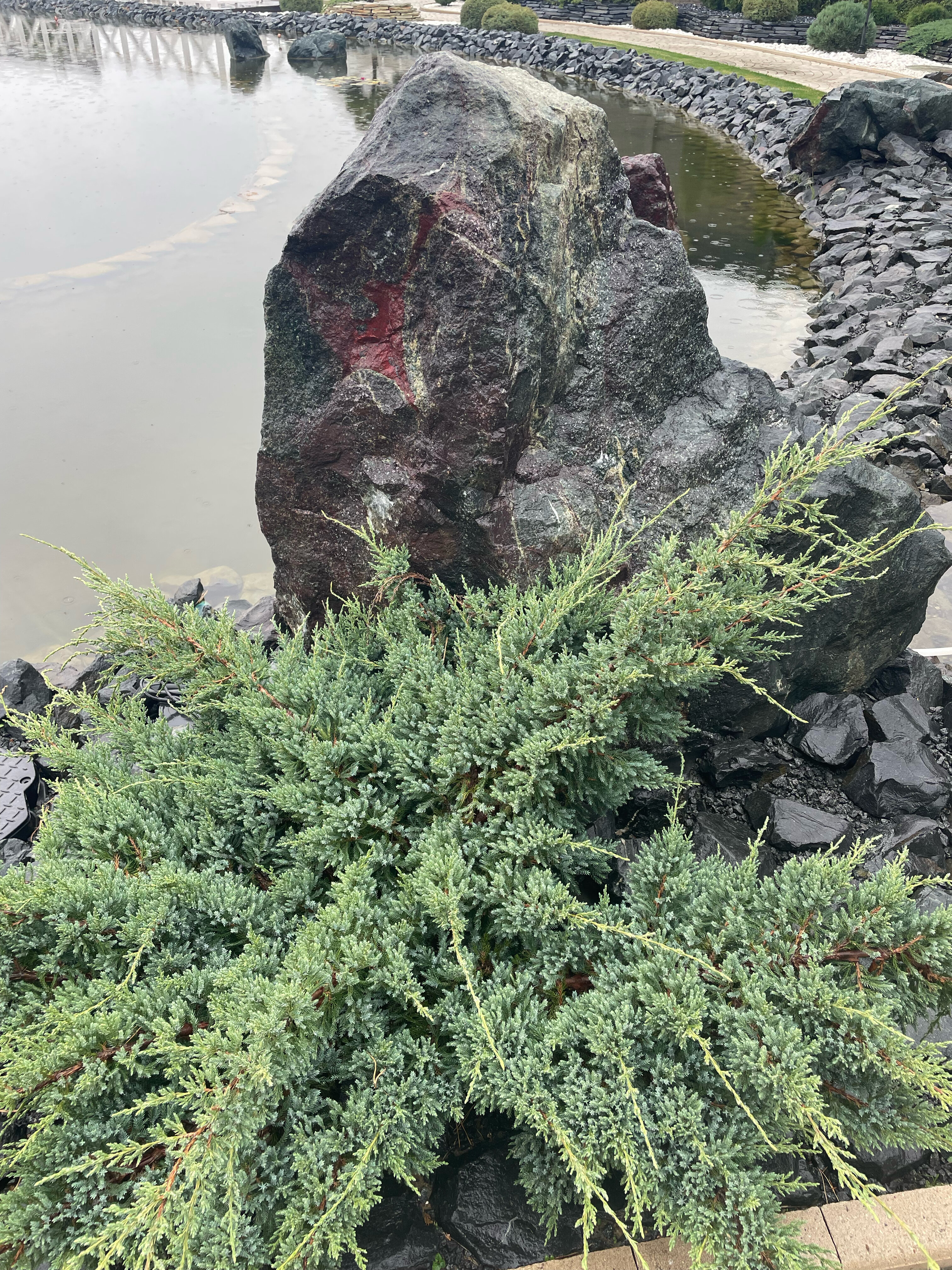 Фото Петровские Паруса