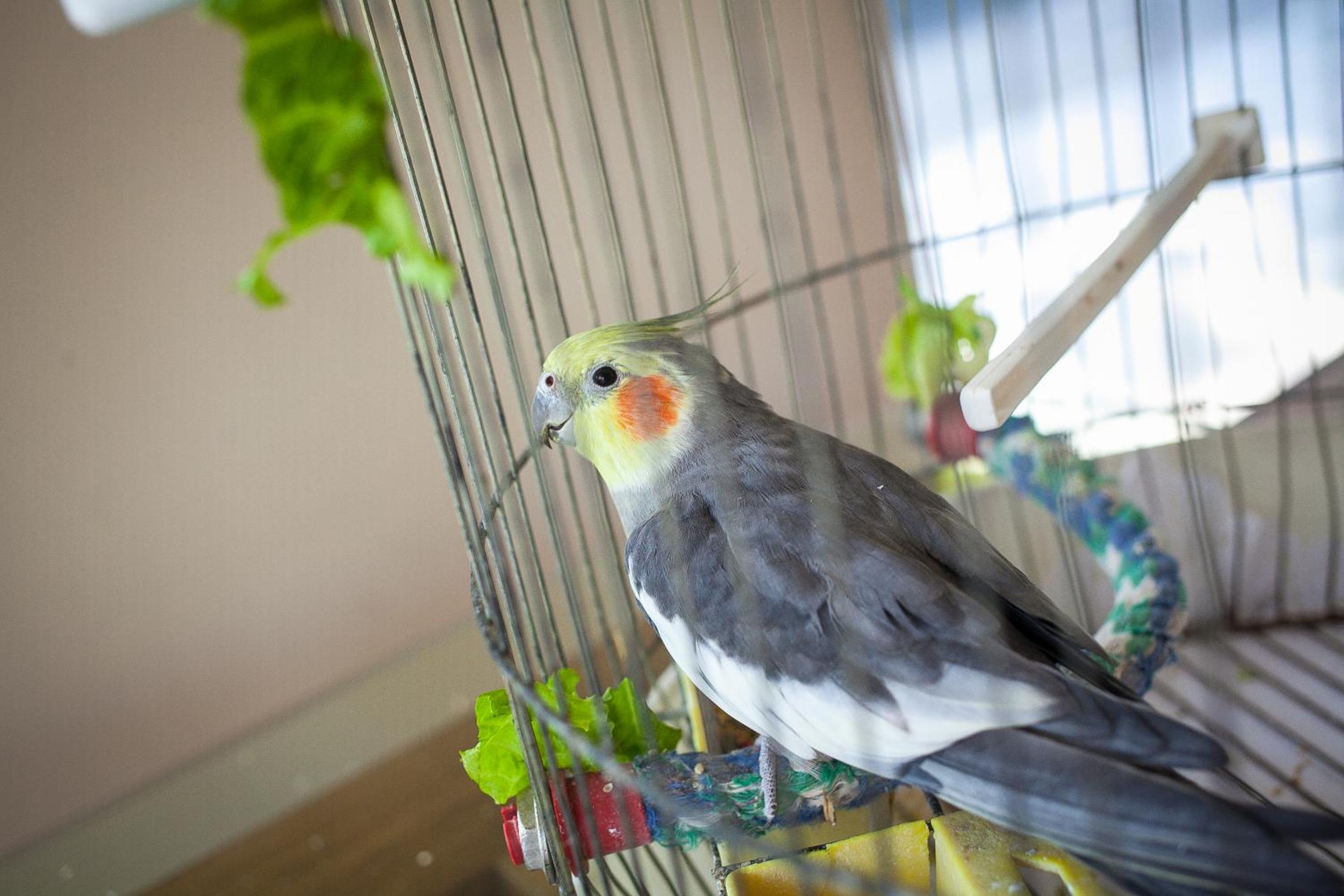 Фото Park Hotel Perla