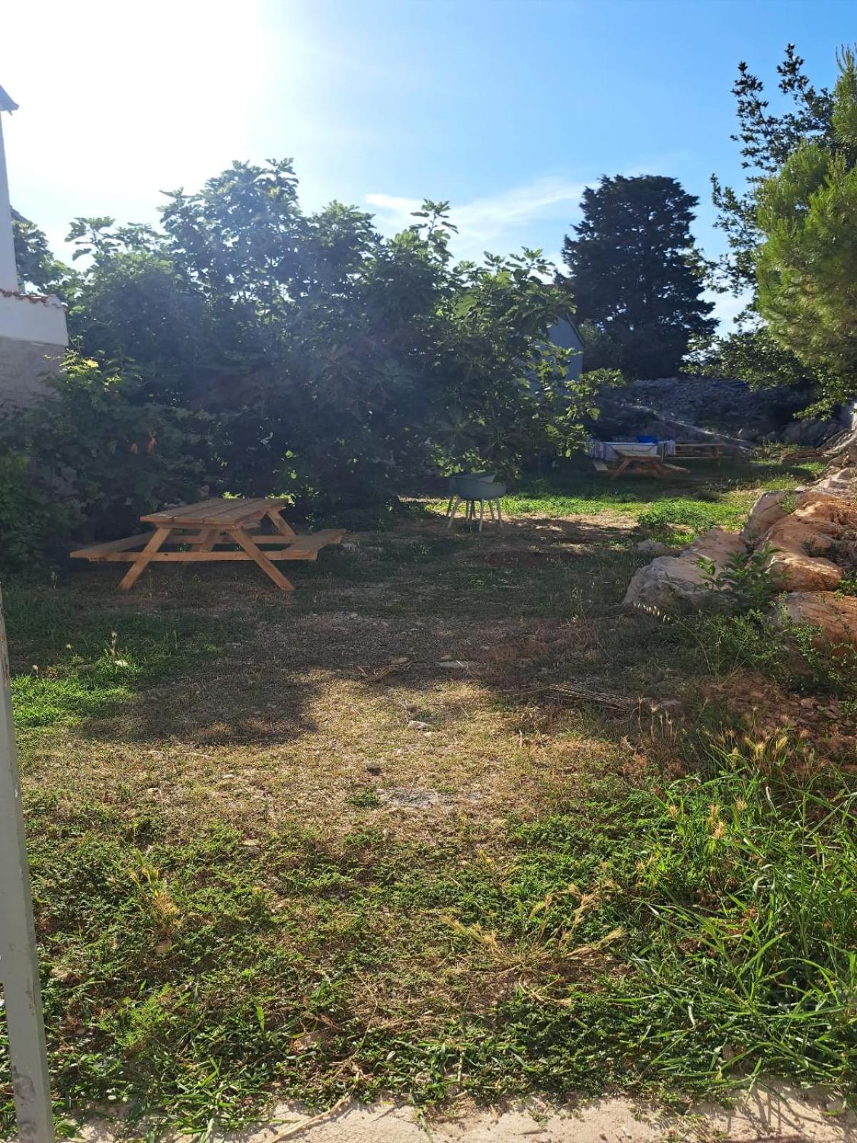 Фото Murter Voltera