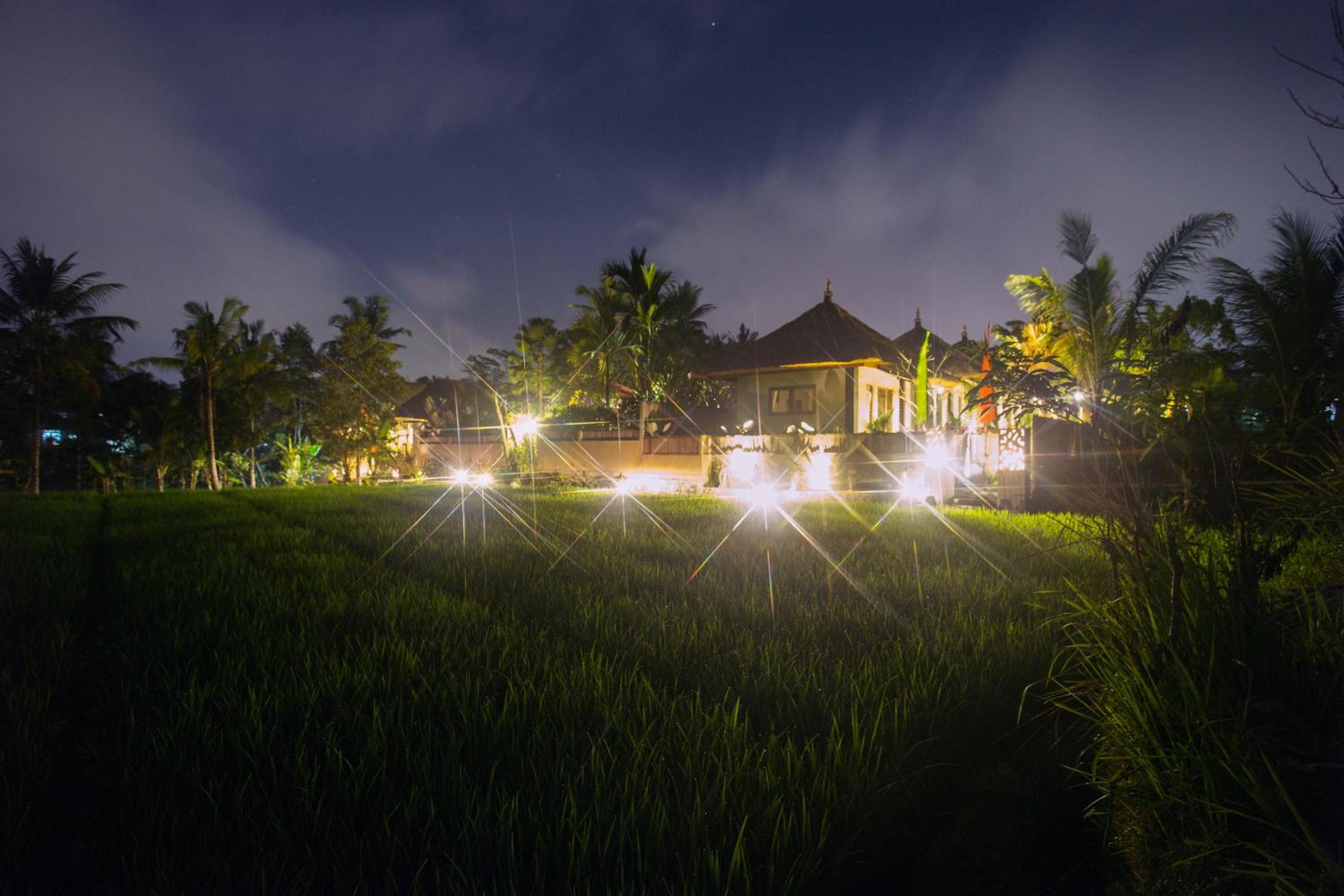 Фото Ubud Luwih Villa