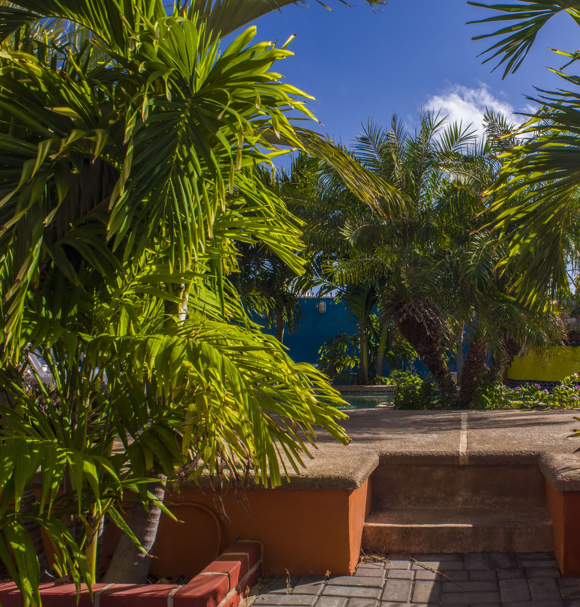 Фото Nos Krusero Apartments